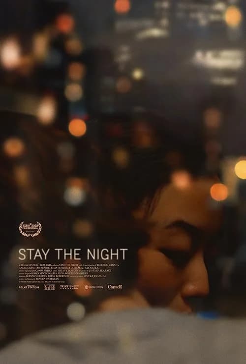 Stay the Night film posteri